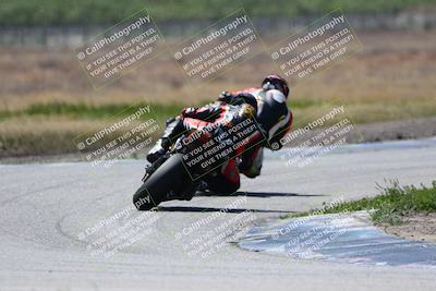 media/Apr-20-2024-AFM (Sat) [[baa7f0a2b4]]/Race 8/